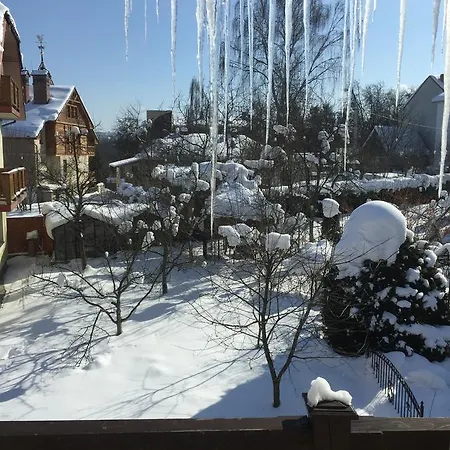 Eva * Трускавец